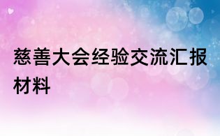 慈善大会经验交流汇报材料