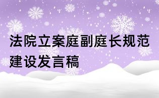 法院立案庭副庭长规范建设发言稿