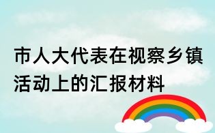 市人大代表在视察乡镇活动上的汇报材料