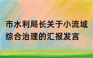 市水利局长关于小流域综合治理的汇报发言