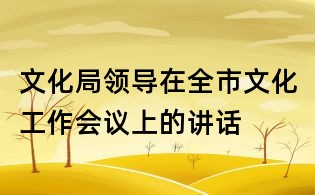 文化局领导在全市文化工作会议上的讲话