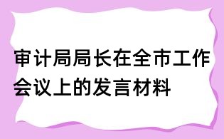 审计局局长在全市工作会议上的发言材料