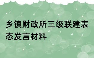 乡镇财政所三级联建表态发言材料