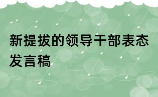新提拔的领导干部表态发言稿