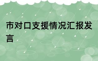 市对口支援情况汇报发言