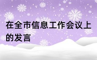 在全市信息工作会议上的发言