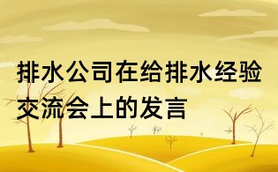 排水公司在给排水经验交流会上的发言