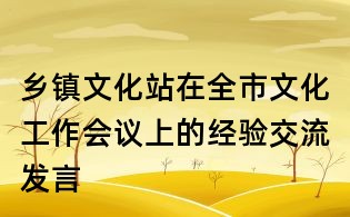 乡镇文化站在全市文化工作会议上的经验交流发言