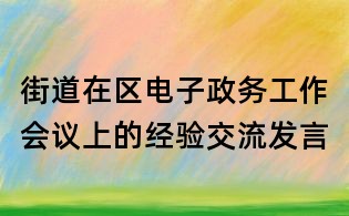 街道在区电子政务工作会议上的经验交流发言