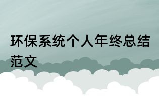 环保系统个人年终总结范文