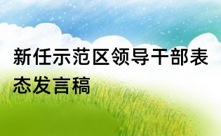 新任示范区领导干部表态发言稿