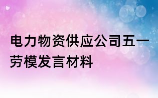 电力物资供应公司五一劳模发言材料