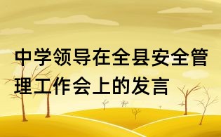 中学领导在全县安全管理工作会上的发言