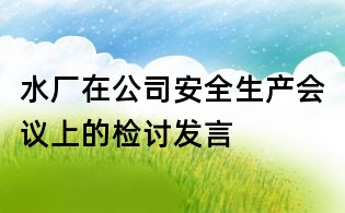 水厂在公司安全生产会议上的检讨发言