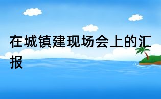 在城镇建现场会上的汇报