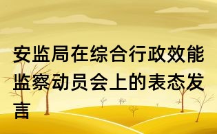 安监局在综合行政效能监察动员会上的表态发言