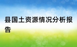 县国土资源情况分析报告