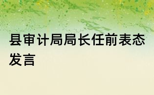 县审计局局长任前表态发言