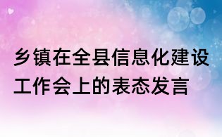 乡镇在全县信息化建设工作会上的表态发言