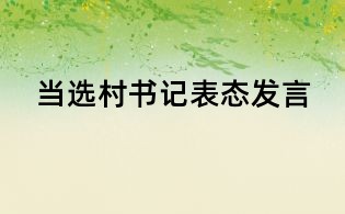 当选村书记表态发言