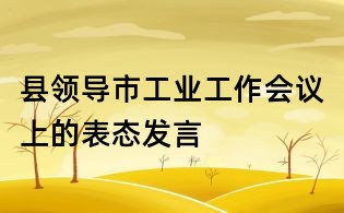 县领导市工业工作会议上的表态发言