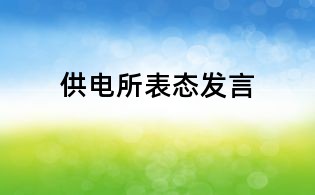 供电所表态发言