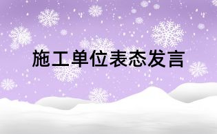 施工单位表态发言