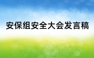 安保组安全大会发言稿