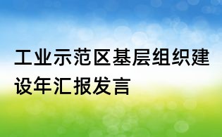 工业示范区基层组织建设年汇报发言