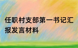 任职村支部第一书记汇报发言材料