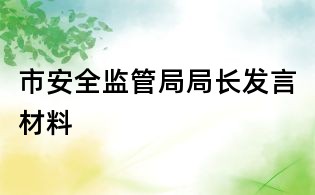市安全监管局局长发言材料