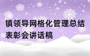 镇领导网格化管理总结表彰会讲话稿