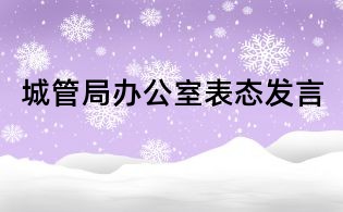城管局办公室表态发言