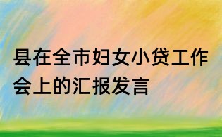 县在全市妇女小贷工作会上的汇报发言
