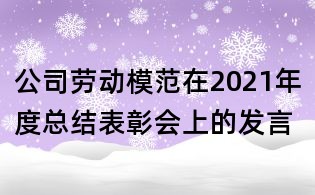 公司劳动模范在2021年度总结表彰会上的发言
