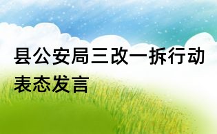 县公安局三改一拆行动表态发言
