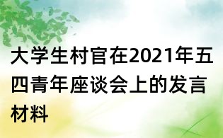 大学生村官在2021年五四青年座谈会上的发言材料
