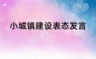 小城镇建设表态发言