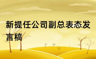 新提任公司副总表态发言稿