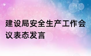 建设局安全生产工作会议表态发言