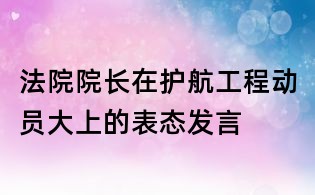 法院院长在护航工程动员大上的表态发言