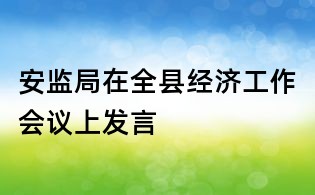 安监局在全县经济工作会议上发言