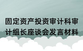 固定资产投资审计科审计组长座谈会发言材料