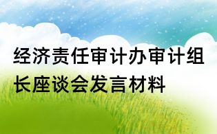 经济责任审计办审计组长座谈会发言材料