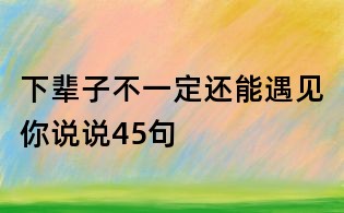 下辈子不一定还能遇见你说说45句