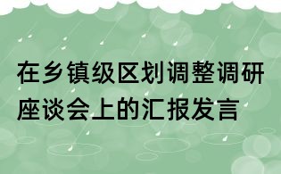 在乡镇级区划调整调研座谈会上的汇报发言