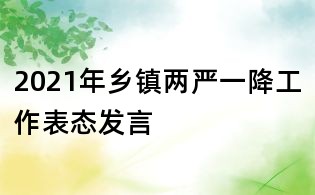 2021年乡镇两严一降工作表态发言