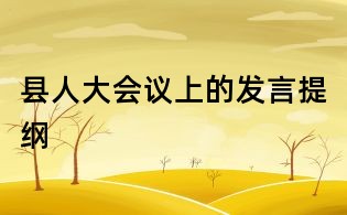 县人大会议上的发言提纲