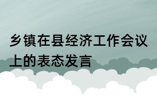 乡镇在县经济工作会议上的表态发言