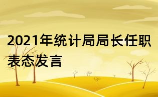 2021年统计局局长任职表态发言